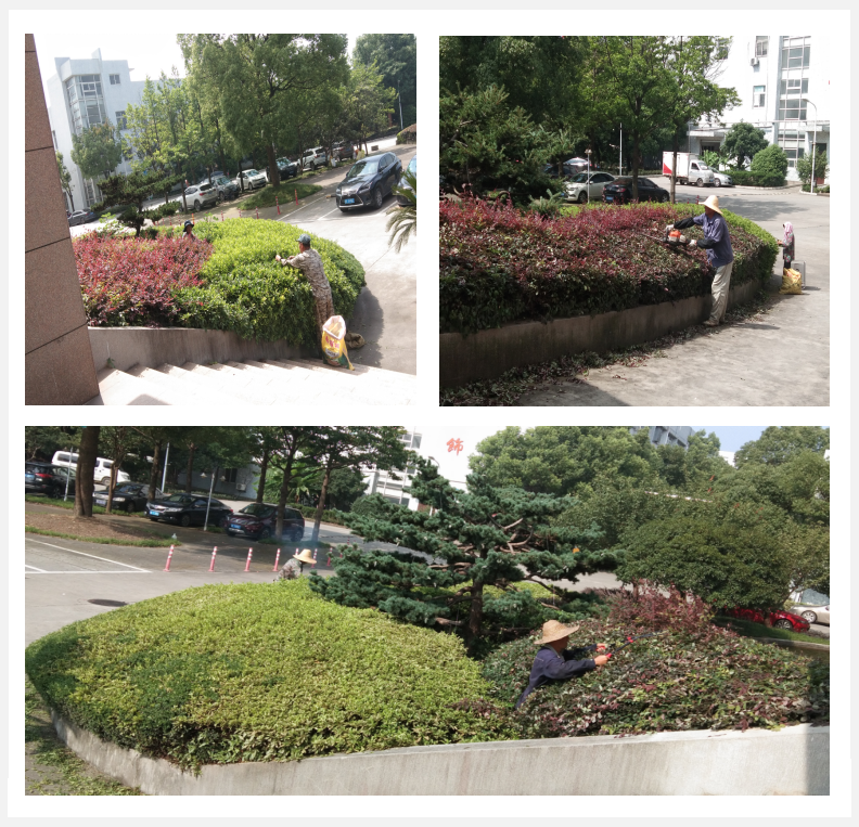 美化綠化，我們在行動      
